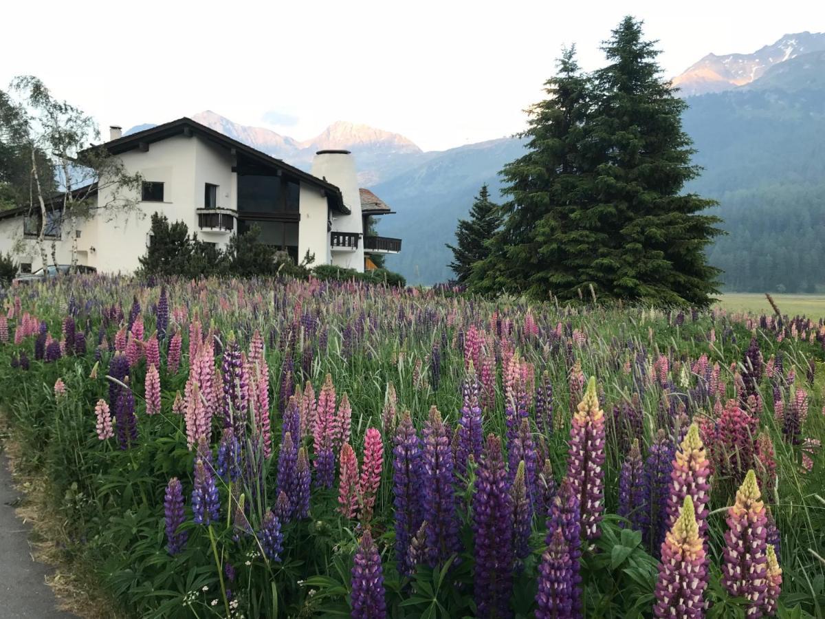 Ferienwohnung Chesa Suot Ovas Sils im Engadin Exterior foto
